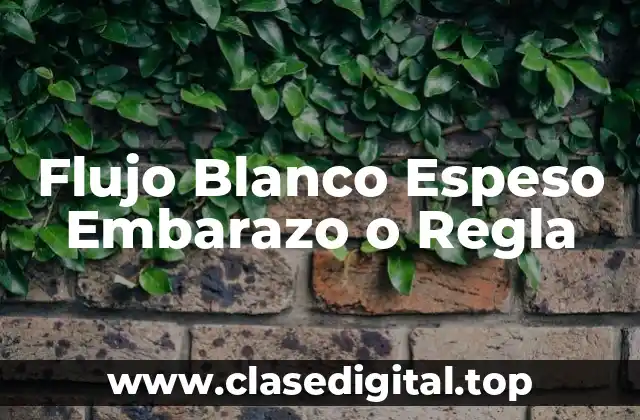 Flujo Blanco Espeso Embarazo o Regla