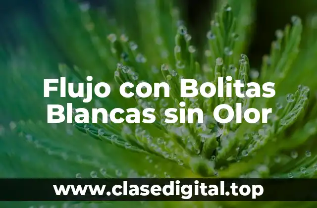 Flujo con Bolitas Blancas sin Olor