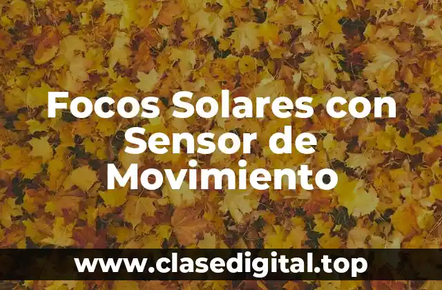 Focos Solares con Sensor de Movimiento