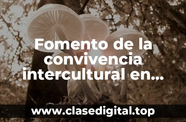 Ejemplos de fomento de la convivencia intercultural en Guanajuato