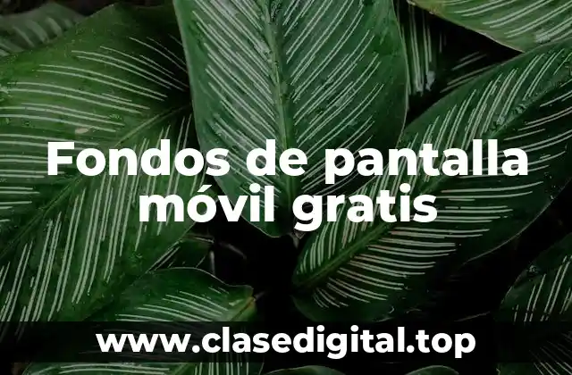 ¿Por qué son importantes los fondos de pantalla móvil?