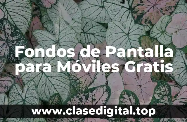 ¿Por qué son Importantes los Fondos de Pantalla para Móviles?