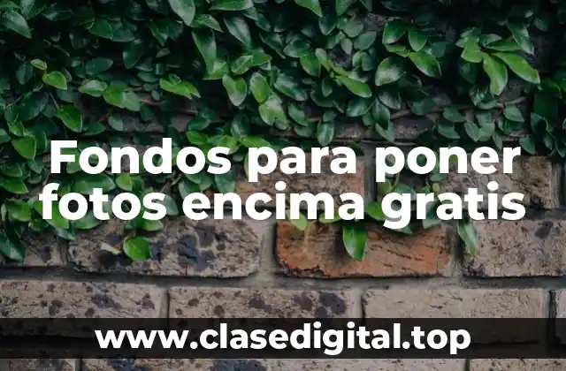 Fondos para poner fotos encima gratis