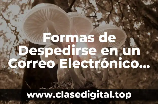 Formas de Despedirse en un Correo Electrónico Profesional