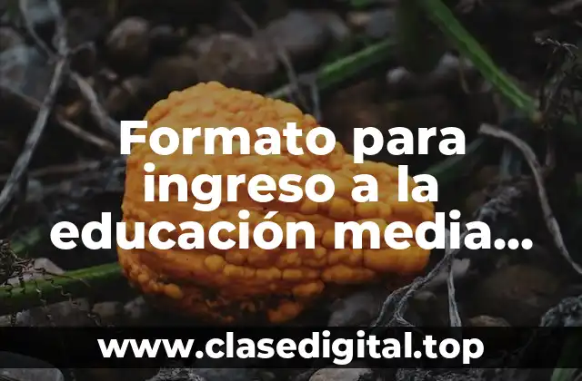 Formato para ingreso a la educación media superior