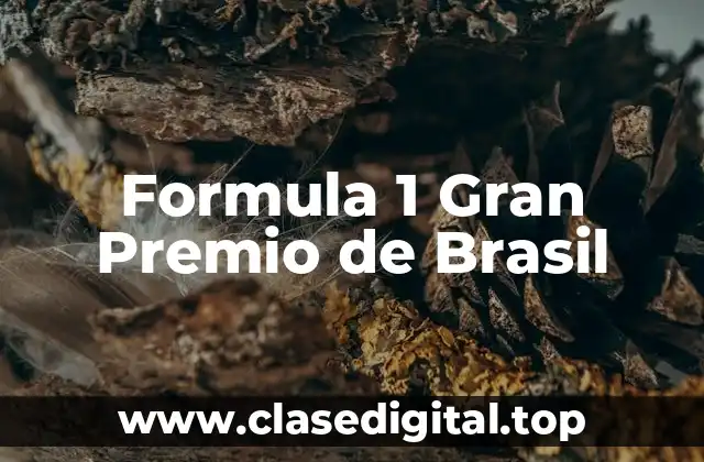 Formula 1 Gran Premio de Brasil