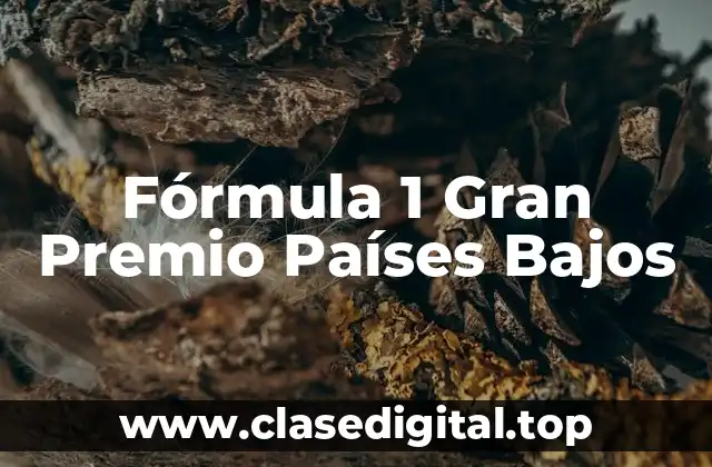 Fórmula 1 Gran Premio Países Bajos