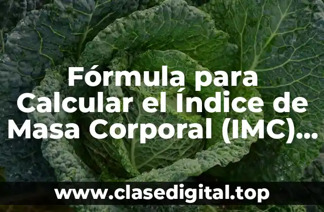 Fórmula para Calcular el Índice de Masa Corporal (IMC) Exacta