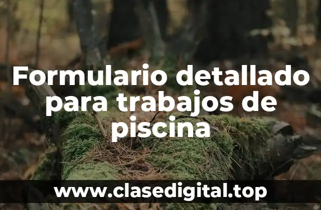 Formulario detallado para trabajos de piscina