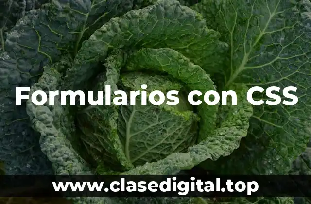 Formularios con CSS