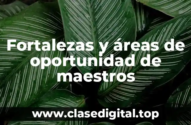 Fortalezas y áreas de oportunidad de maestros