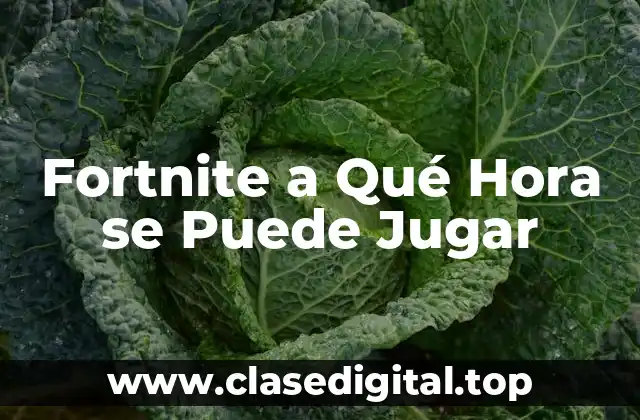¿Cuál es el Horario de Juego de Fortnite?