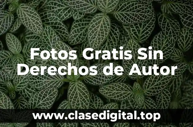 Fotos Gratis Sin Derechos de Autor