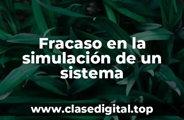 Fracaso en la simulación de un sistema