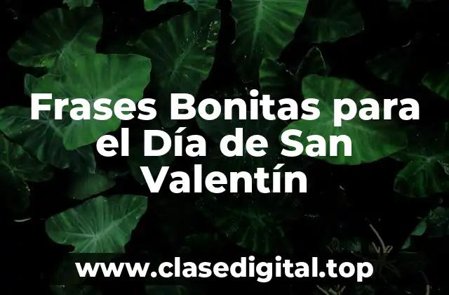 Frases Bonitas para el Día de San Valentín