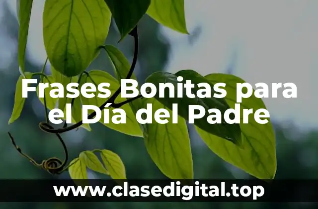 ¿Por qué las Frases Bonitas Son Esenciales para el Día del Padre?