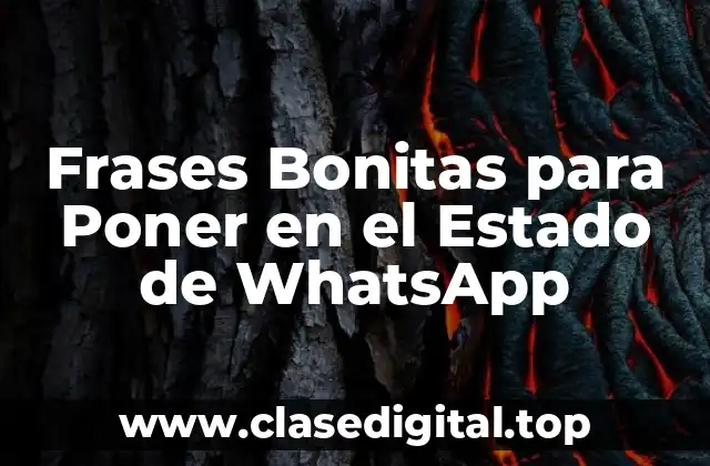 Frases Bonitas para Poner en el Estado de WhatsApp
