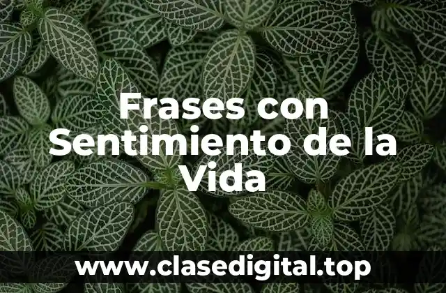 Frases con Sentimiento de la Vida