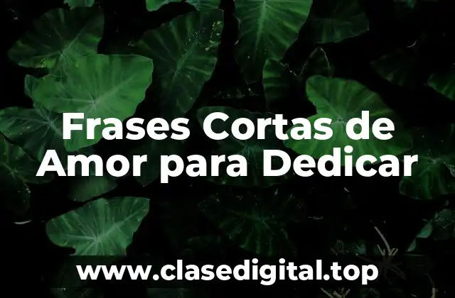 Frases Cortas de Amor para Dedicar