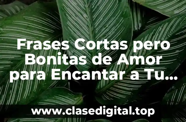 Frases Cortas pero Bonitas de Amor para Encantar a Tu Pareja