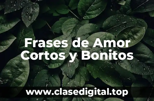 Frases de Amor Cortos y Bonitos