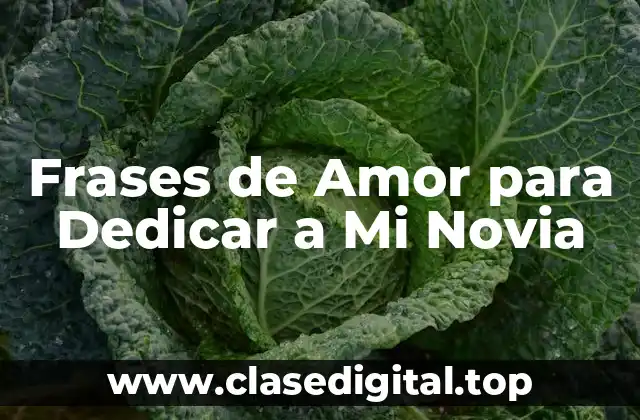 Frases de Amor para Dedicar a Mi Novia