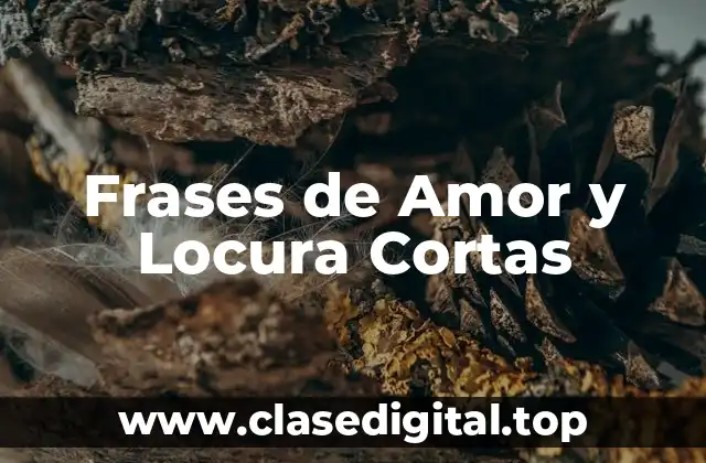 ¿Qué son las Frases de Amor y Locura Cortas?