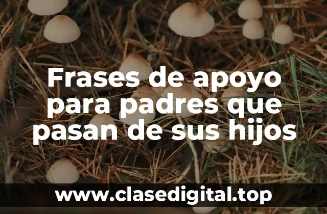 Frases de apoyo para padres que pasan de sus hijos