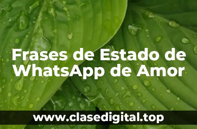Frases de Estado de WhatsApp de Amor