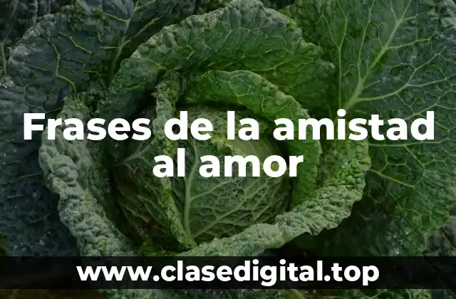 Frases de la amistad al amor