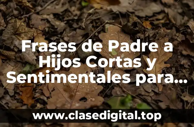 Frases de Padre a Hijos Cortas y Sentimentales para Fortalecer el Vínculo