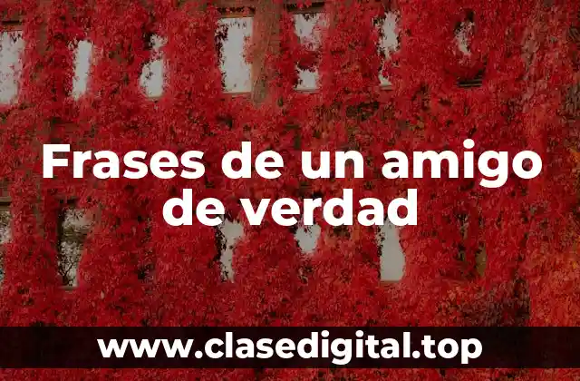 ¿Qué es un amigo de verdad?