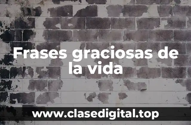Frases graciosas de la vida