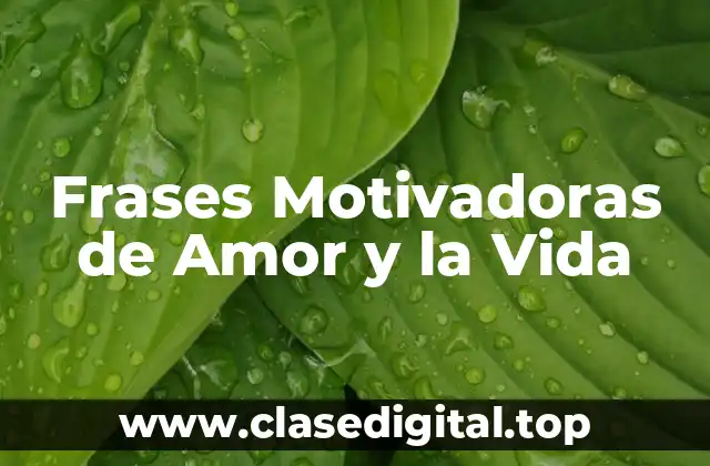 Frases Motivadoras de Amor y la Vida