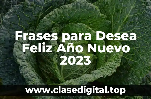 Frases Cortas y Dulces para Desea Feliz Año Nuevo