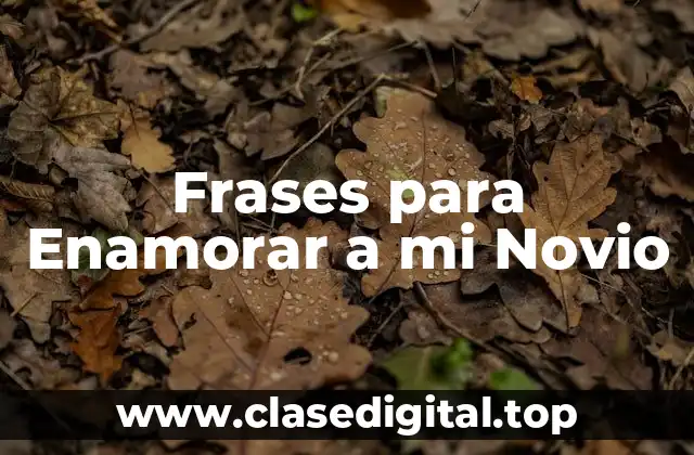 Frases para Enamorar a mi Novio
