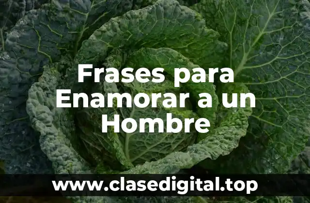 Frases para Enamorar a un Hombre
