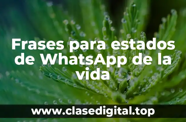 Frases para estados de WhatsApp de la vida