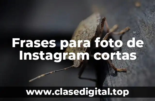 Frases para foto de Instagram cortas
