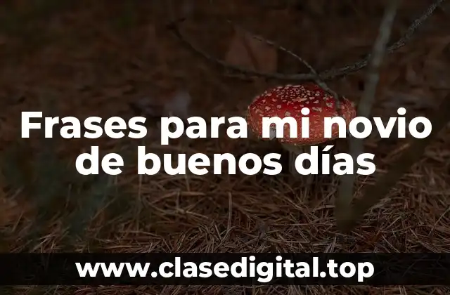 Frases para mi novio de buenos días