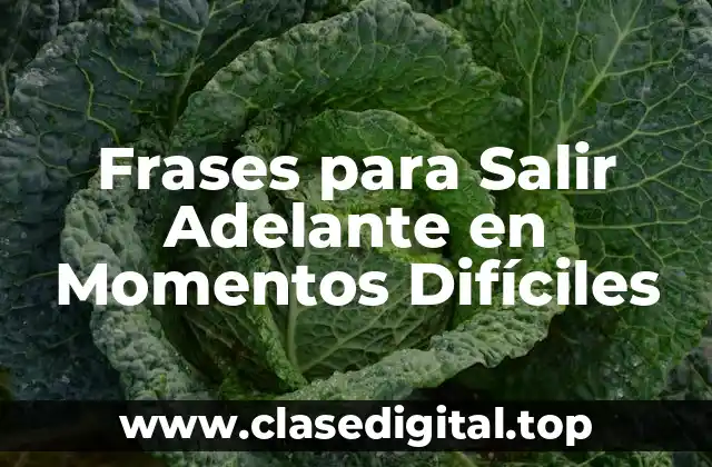 Frases para Salir Adelante en Momentos Difíciles
