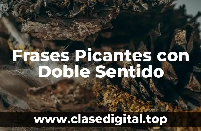 Características de las Frases Picantes con Doble Sentido