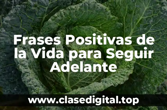 Frases Positivas de la Vida para Seguir Adelante