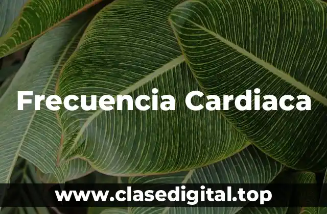Frecuencia Cardiaca