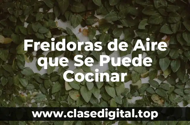 ¿Cómo Funcionan las Freidoras de Aire que Se Puede Cocinar?