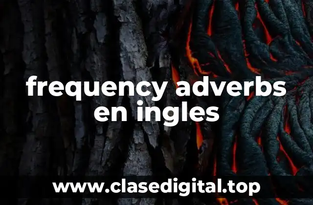 frequency adverbs en ingles