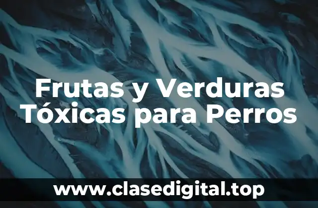 Frutas y Verduras Tóxicas para Perros