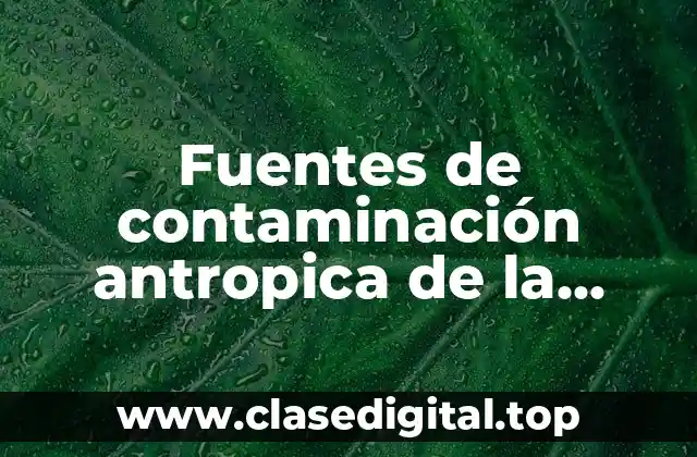 Fuentes de contaminación antropica de la atmósfera