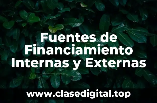 Ejemplos de Fuentes de Financiamiento Internas