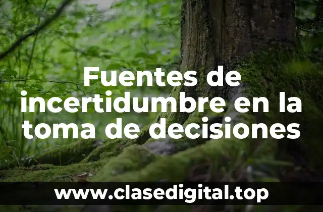 Fuentes de incertidumbre en la toma de decisiones